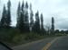 DSCF9191