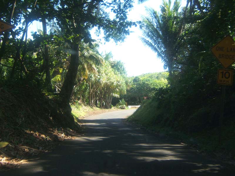 DSCF9288
