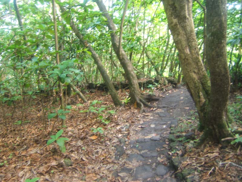 DSCF9343