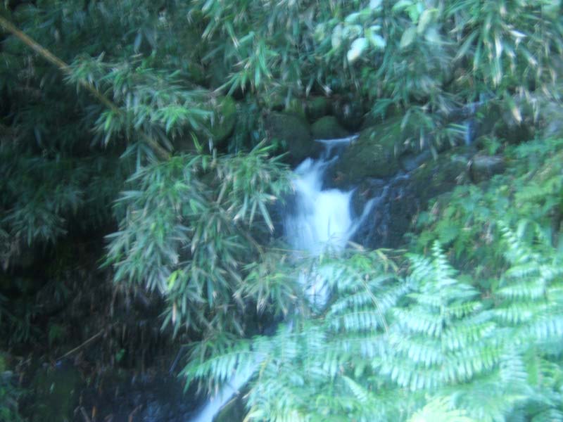 DSCF9353