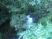 DSCF9353
