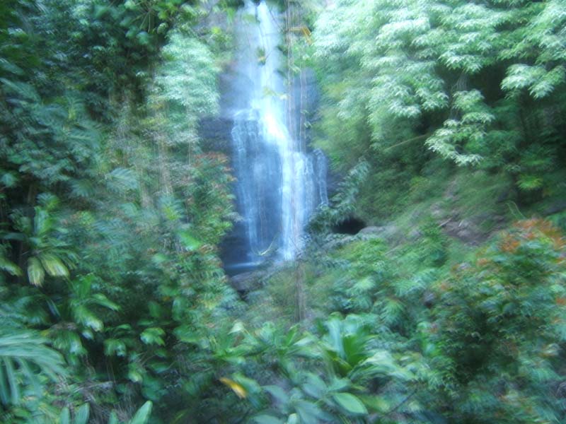 DSCF9364