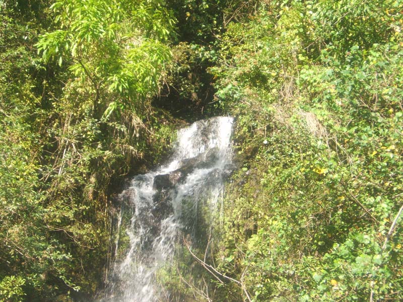 DSCF9375