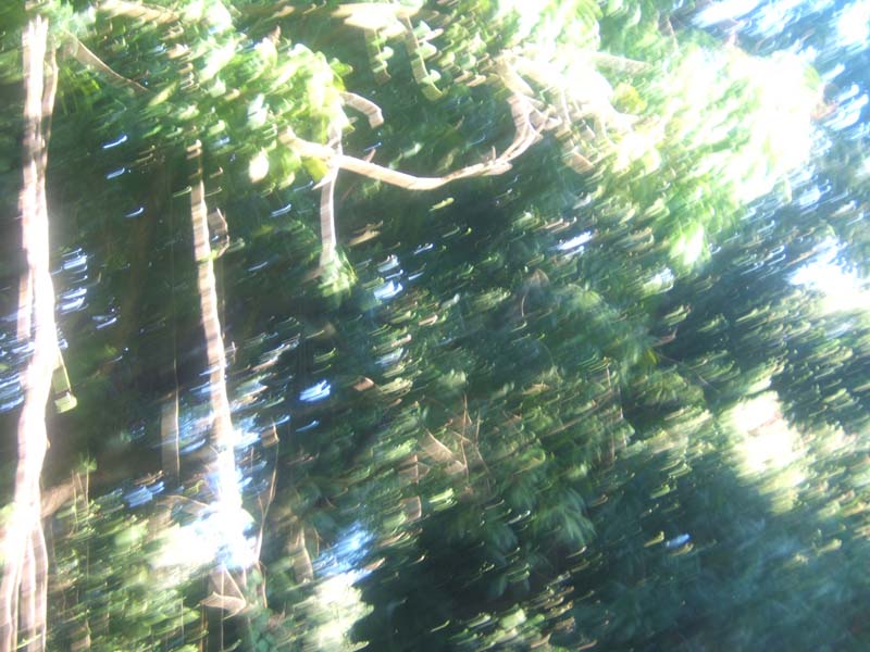 DSCF9377