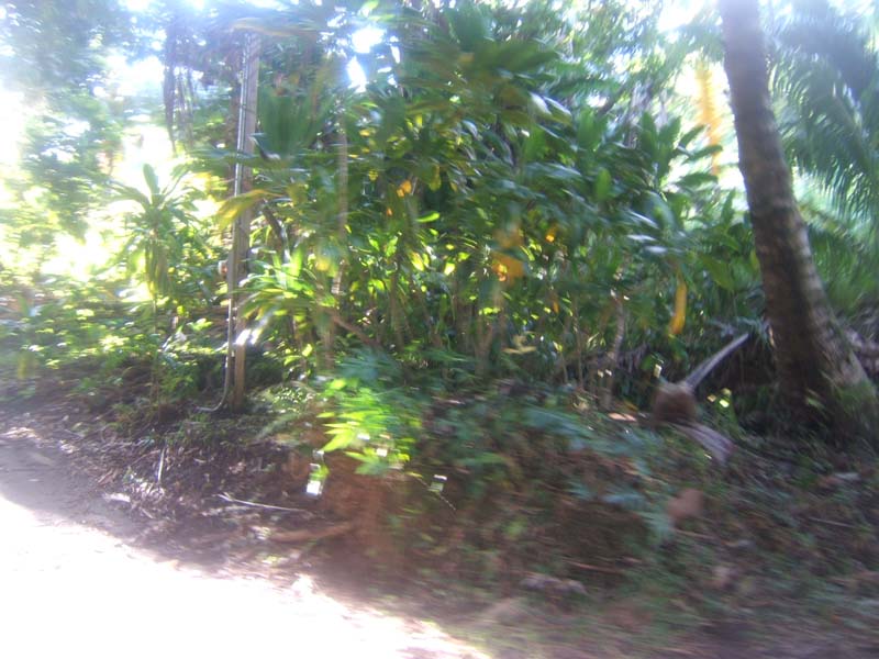 DSCF9379