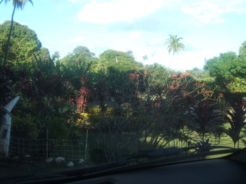 DSCF9381