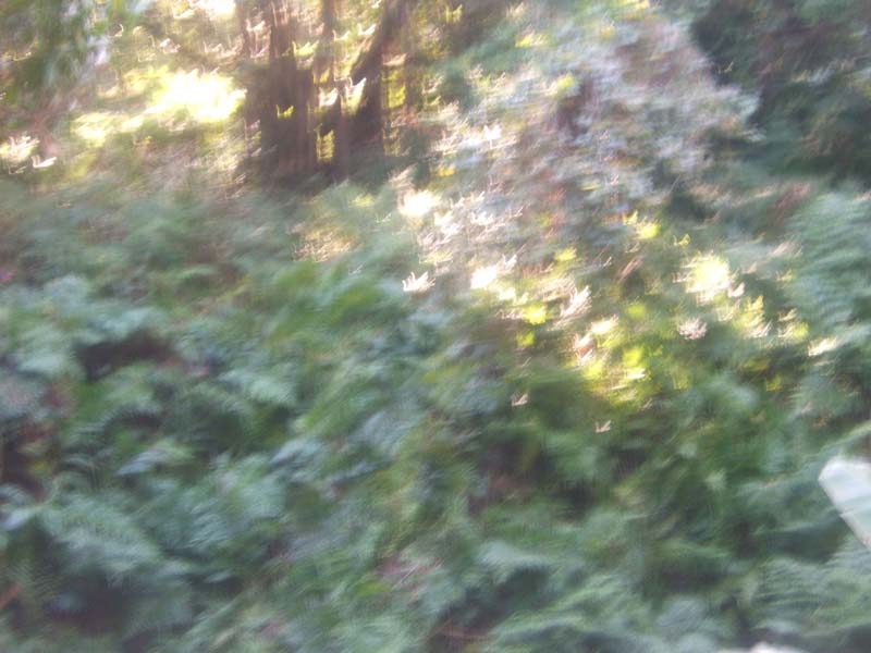 DSCF9383