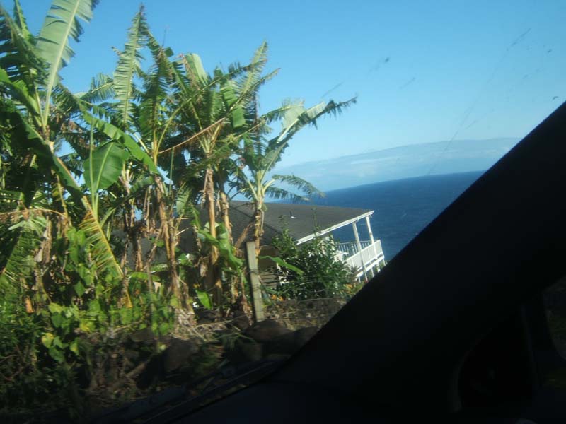 DSCF9386
