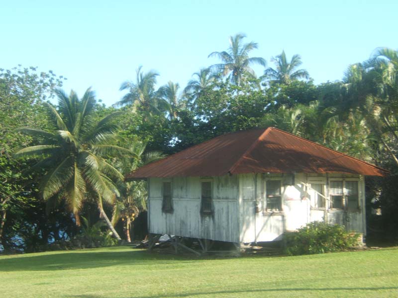 DSCF9387