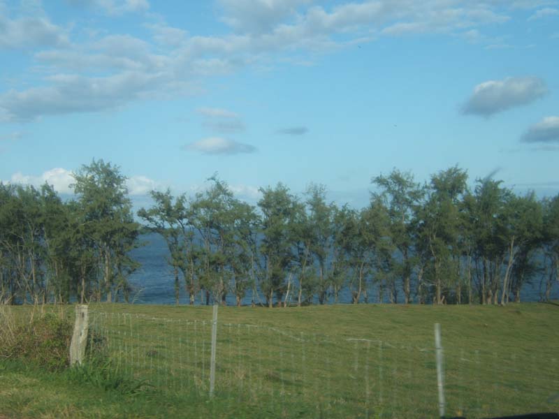 DSCF9392
