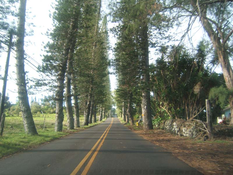 DSCF9399