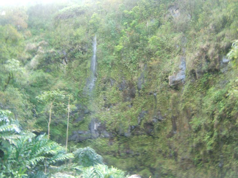 DSCF9412