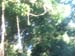 DSCF9377